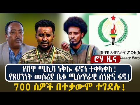 የሸዋ ሚሊሻ ነቅሎ ፋኖን ተቀላቀለ! የደህንነት መስሪያ ቤቱ ሚስጥራዊ ሰነድና ፋኖ! 700 ሰዎች በተቃውሞ ተገደሉ!