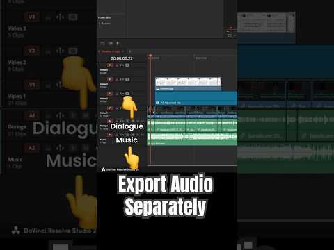 Export with Multiple, Separate Audio Tracks - DaVinci Resolve