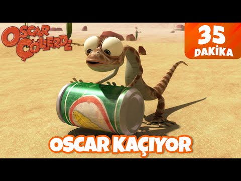 Oscar Çöllerde 🦎 | Oscar Kaçıyor! 🤩| Minika