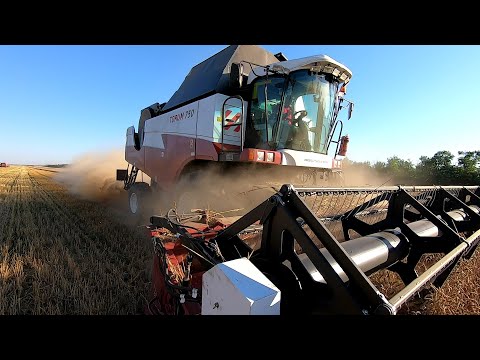 Harvest 2021: A Serious Conversation with Your Leader!