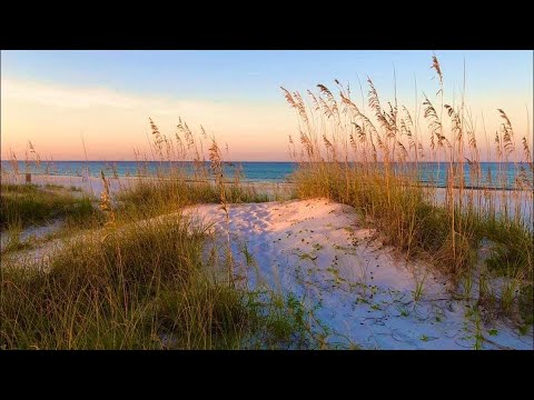 Seascape using Tri-Art heavy body acrylics! Let’s do this