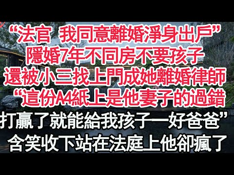 “法官 我同意離婚淨身出戶”隱婚7年不同房不要孩子，還被小三找上門成她離婚律師，“這份A4紙上是他妻子的過錯，打贏了就能給我孩子一個好爸爸”含笑收下站在法庭上他卻瘋了【顧亞男】【高光】【爽文】【情感】