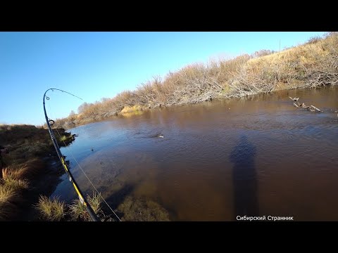 Наловили щук в ручье и сделали котлеты 🦈🦈🦈