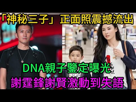 轟動全港！張柏芝藏6年的神秘三兒子正面照曝光！謝霆鋒看傻：簡直迷你版我！謝賢老淚縱橫：百億遺產直接給他，這才是謝家種！ #謝霆鋒 #張柏芝#王菲#謝賢#狄波拉#Marcus#Lucas#Quintus
