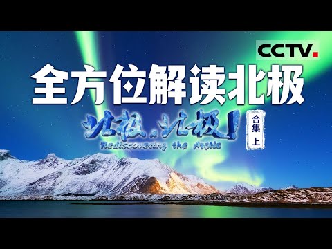 展现北极不为人知的浩瀚绝伦 揭开北极的神秘面纱！带你从空中俯瞰辽阔的北极荒原 多角度全方位解读北极【CCTV纪录】