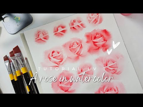 ENG SUB) LV 1 Water-flavored rose watercolor tutorial🎨 Tutorial Painting roses with watercolor💕