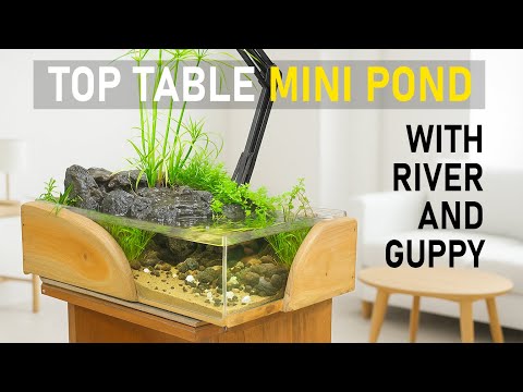 TABLE TOP POND WITH SMALL RIVER