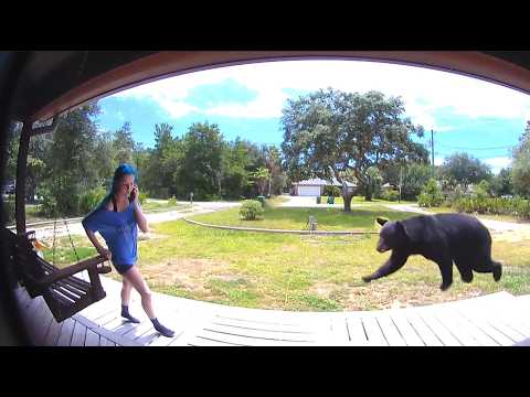 FUNNIEST Animal Videos Ever | AFV Wild Animals Encounters Caught on Camera