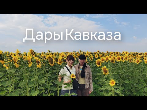 ЧТО ПРИВЕЗТИ С КАВКАЗА? 🔥 Сувениры и подарки