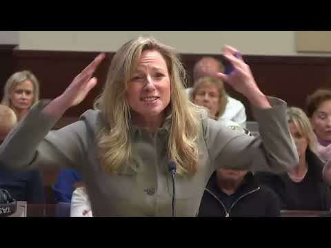 Donna Adelson trial: Prosecutor Georgia Cappleman's blistering cross-examination of legal expert