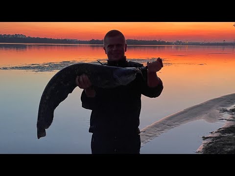Рибалка на Сома з берега‼️Нарешті Клюнув той самий Сом , якого я чекав⚠️(1 Часть)Рибалка на Дніпрі