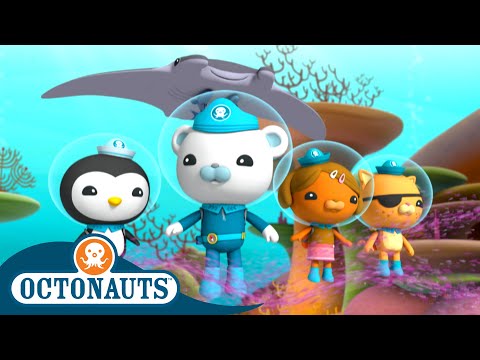 @Octonauts - The Manta Rays 🪸 | Series 2 | Full Episode 13 | Coral Reef for Kids