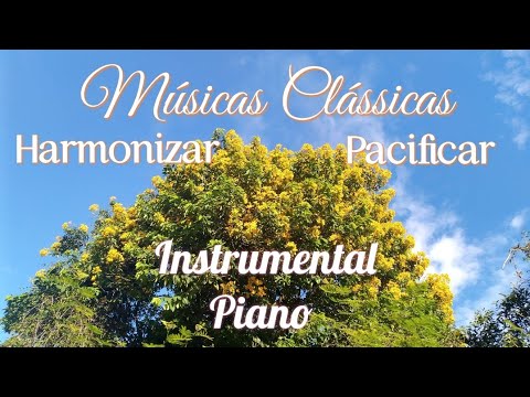 Músicas Clássicas para Harmonizar e Pacificar | Instrumental Piano