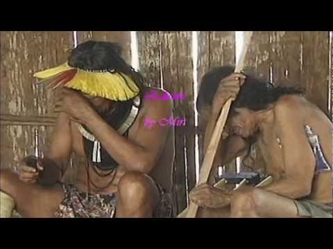 The Kayapo tribe, need our help! La tribu Kayapo necesita su ayuda!