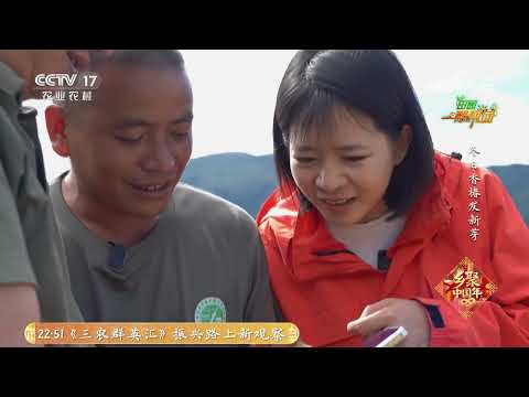 《田园帮帮团》 20260202 冬日香椿发新芽 | 农业致富经 Agriculture And Farming