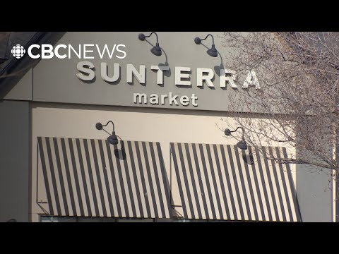 Sunterra engaged in cheque kiting, judge finds