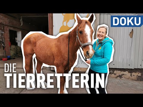 The Animal Rescuer | experience hesse | documentary