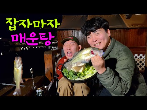 잡자마자 매운탕 끓여먹기!!!