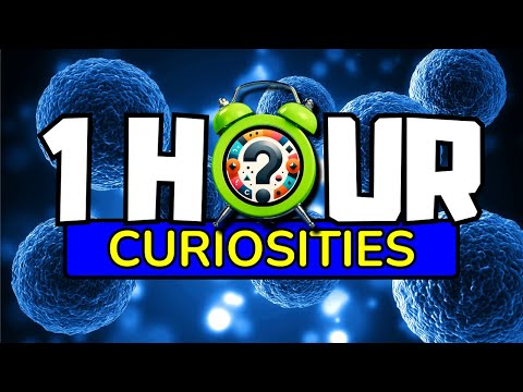 1 hour NON-STOP Cool Things you DIDN'T Know #7