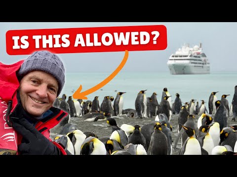 4 Unexpected Things I Learnt Going On An Antarctica Cruise