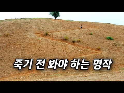 살아있음을 감사하게 만드는.. 따뜻하고 아름다운 명작 (결말포함)