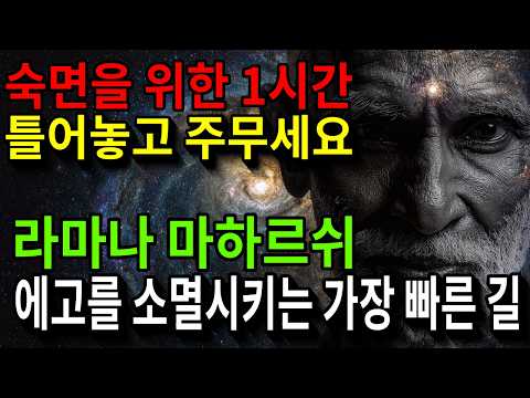 틀어만 놓고 주무세요 | 1시간 동안 마음이 고요해지는 라마나 마하르쉬 명상 낭독 (수면유도, 연속듣기)