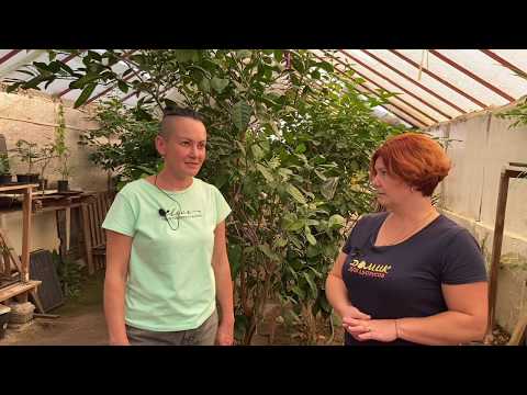 Greetings from sunny Transcarpathia