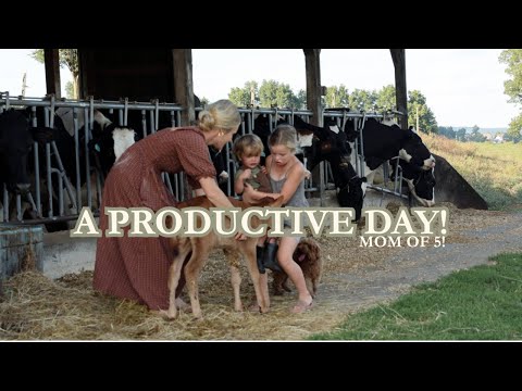 Autumn Homemaking On The Farm!