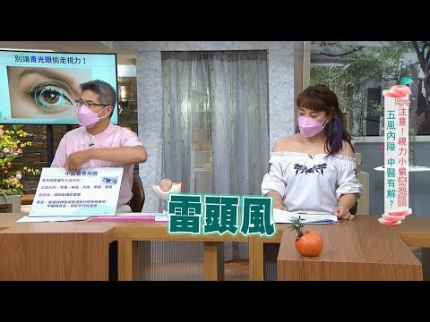 【特別企劃】中醫看青光眼有解？｜20211210｜三立台灣台CH29｜