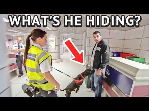 Sniffer Dog Pounces As This Passenger Grabs His Bags!