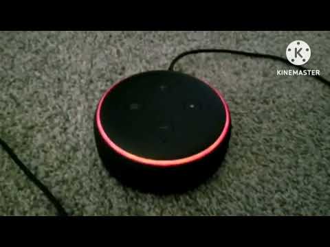 Why is this video getting TOO POPULAR?!!