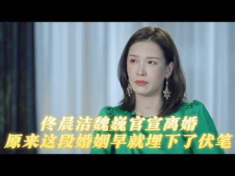 佟晨洁魏巍离婚,原来这段婚姻早就埋下了伏笔,结局一点都不意外