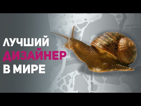 Костыли, баги, секреты и хитрости разработчиков.  Булджать