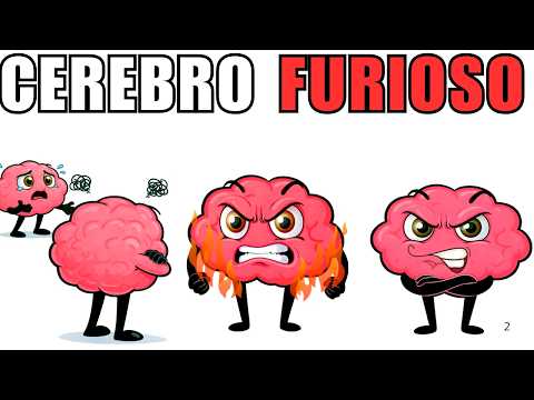 Lo que tu forma de enojarte revela sobre tu cerebro (según la ciencia)