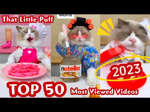 Top 50 Most Viewed Videos 2023π | That Little Puff