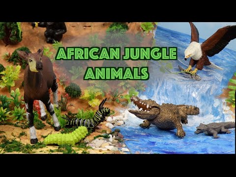 Explore the African Rainforest Jungle | DIY Diorama & Animal Toys