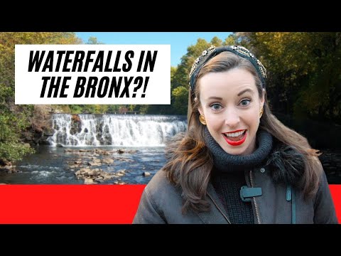 8 MORE places in The Bronx you CAN'T MISS (even locals will be surprised)