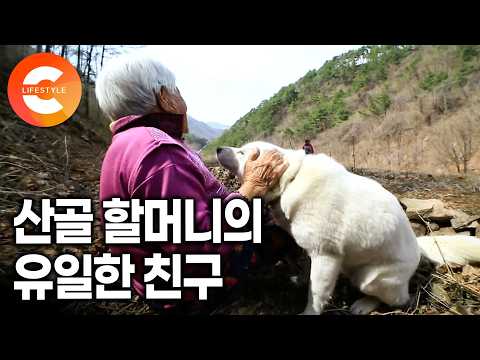 외딴 산골에 들어오면서 데려온 개 한 마리, 이제는 유일한 친구가 되었다ㅣ"산골에 단 우리 셋" 93세 엄마, 66세 딸, 6살 강아지 백설이의 사계절ㅣ#한국기행