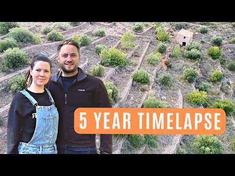Couple Rescues Old Abandoned Homestead in Spain | 5 Year Timelapse