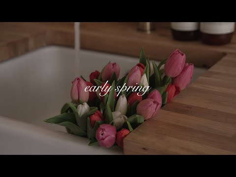 early spring | tulips, chocolate nest eggs and the wind in the willows🌷 [silent vlog]