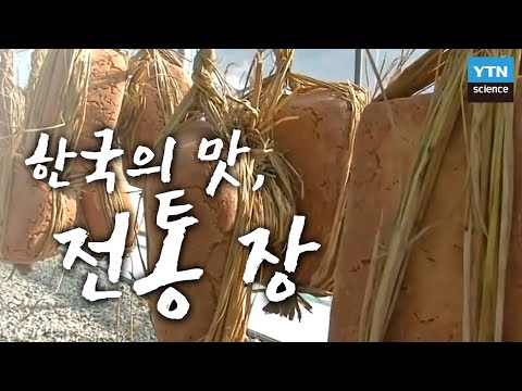 [한국사 探] 한국의 맛, 전통 장 속에 담긴 역사와 과학/ YTN 사이언스