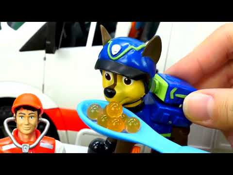 🐾 Meilleurs jeux de la Pat Patrouille en jouets 🐾 Vidéo pour les enfants