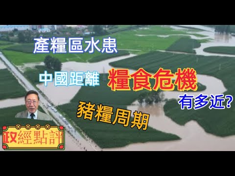 產糧區水患，中國距離糧食危機有多近？豬糧周期#政經點評