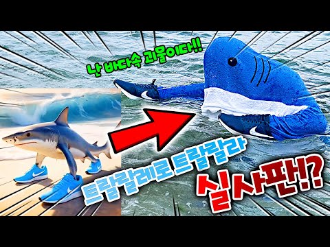 트랄랄레로 트랄랄라 실사판!? 퉁퉁퉁 사후르 도와줘!! 슈뻘맨 위기!!