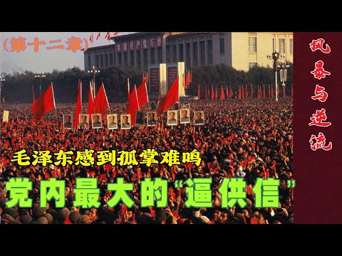 夺权风暴与二月逆流(12)| 党内最大的“逼供信”  毛泽东感到孤掌难鸣 #文革  (中文字幕)
