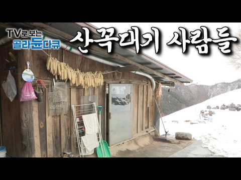 산꼭대기에 집 지어놓고 사는 사람들은 무슨 일을 하며 뭘 먹고 살까?｜산꼭대기 사람들｜한국기행｜#골라듄다큐