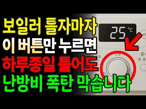 보일러 기사 고백! 이 버튼만 누르면 하루 종일 틀어도 난방비 절반됩니다│난방비 폭탄 피하는 기적의 절약 방법