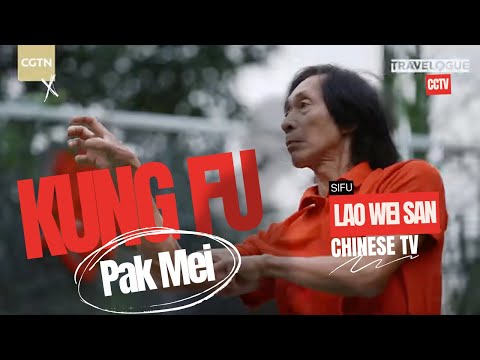 Pak Mei SIFU on CCTV - Kung Fu Wise