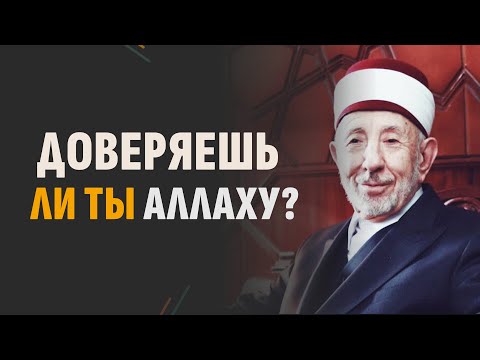 №46 Доверяешь ли ты Аллаху? | Смысл аскетизма | Очисти свои дела | Шейх Рамадан аль-Буты