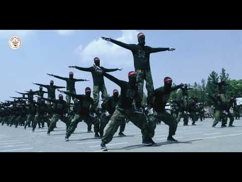 د جګړه ایزو ګډو زده کړو قوماندانۍ څخه د ځوانو منسوبینو تعلیمات، عملي مانورونه او فراغت په ویډیي بڼه!